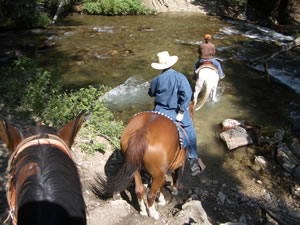 Photo 3 from RING LAKE RANCH INC