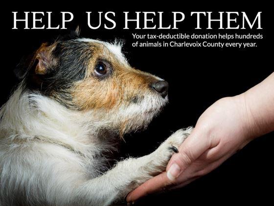 Charlevoix Area Humane Society