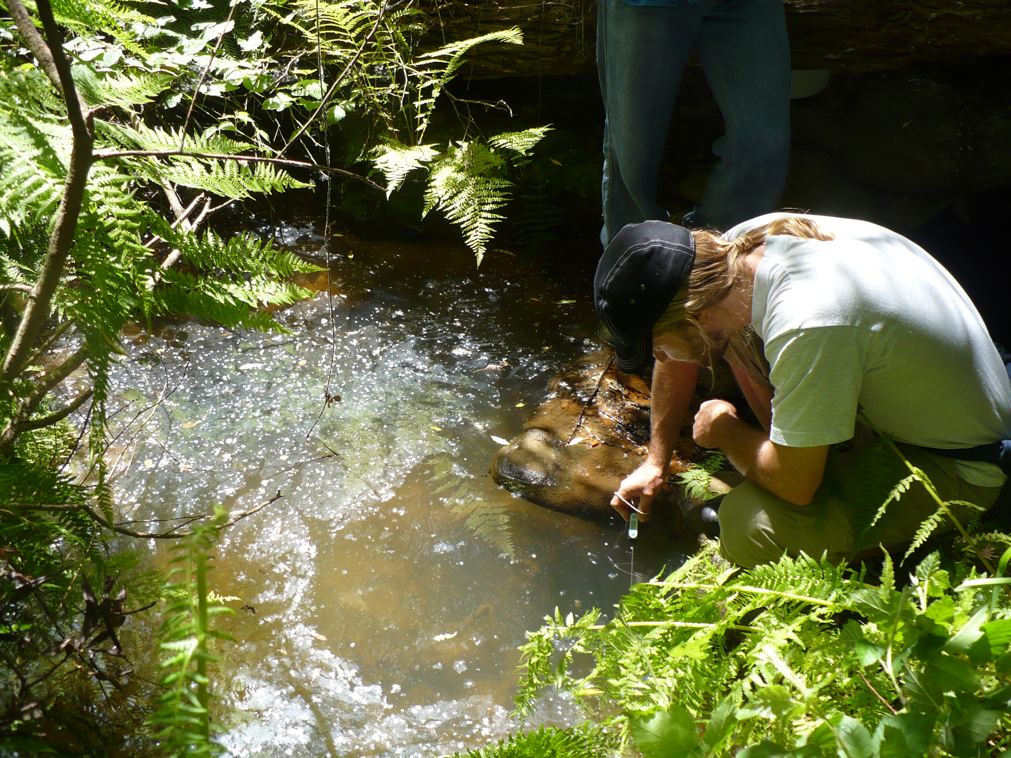 Photo 1 from Coastal Watershed Council (CWC)