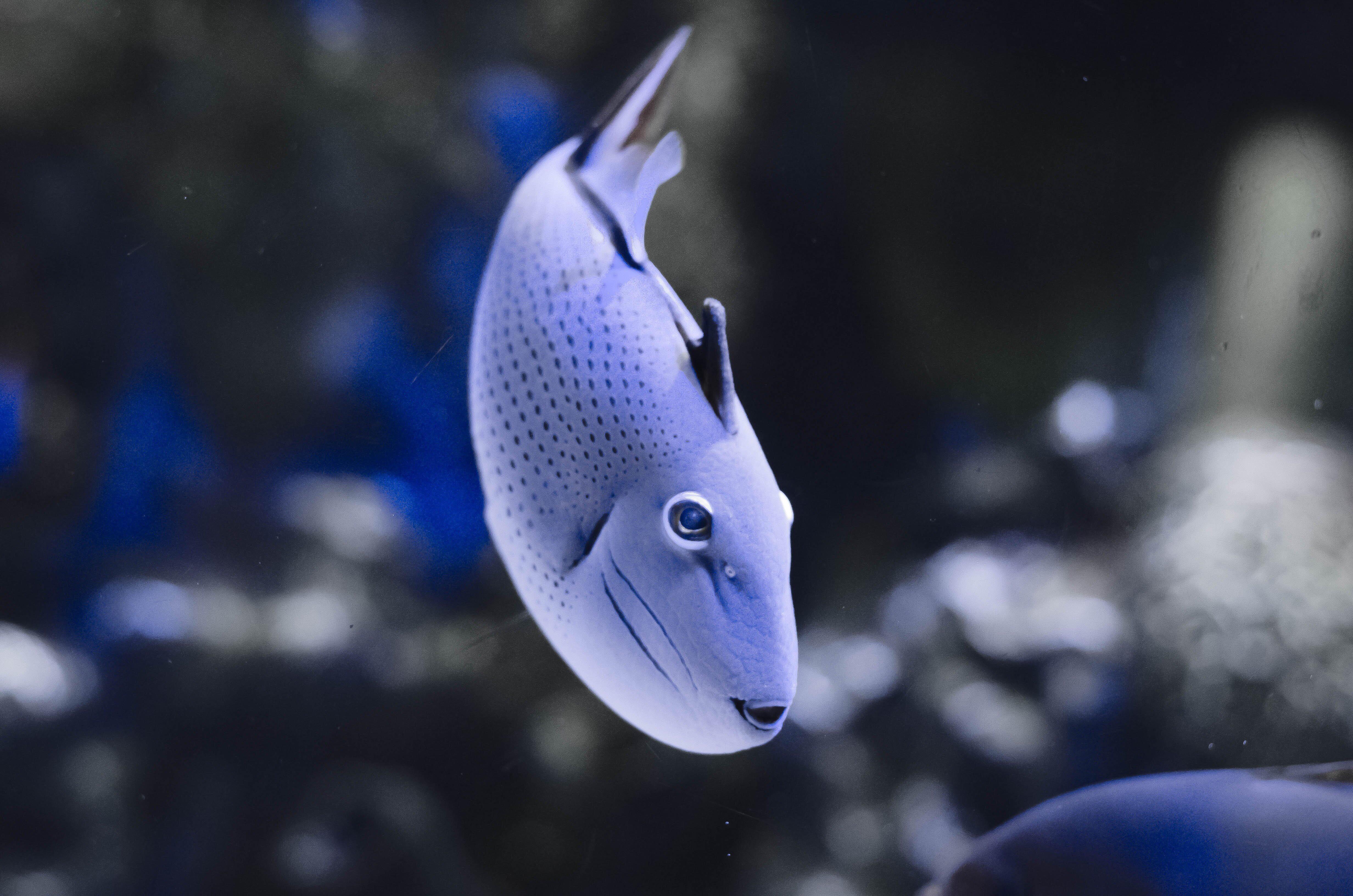 Photo 5 from Nashville Zoo