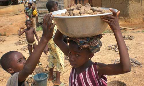 Photo 9 from MORINGACOMMUNITY ORG