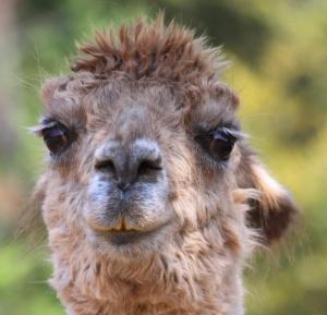 Photo 5 from Sanctuary One