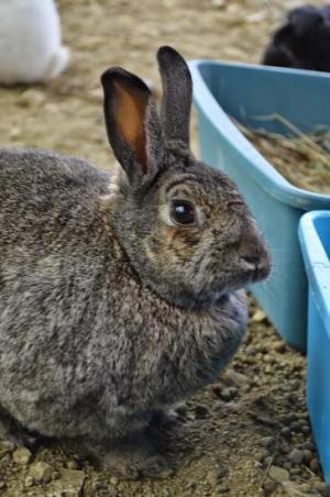 Photo 6 from Sanctuary One