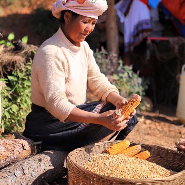 Photo 1 from Project Partner With Christ, Inc.