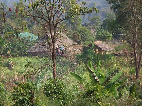 Photo 2 from LOVE FOR MYANMAR