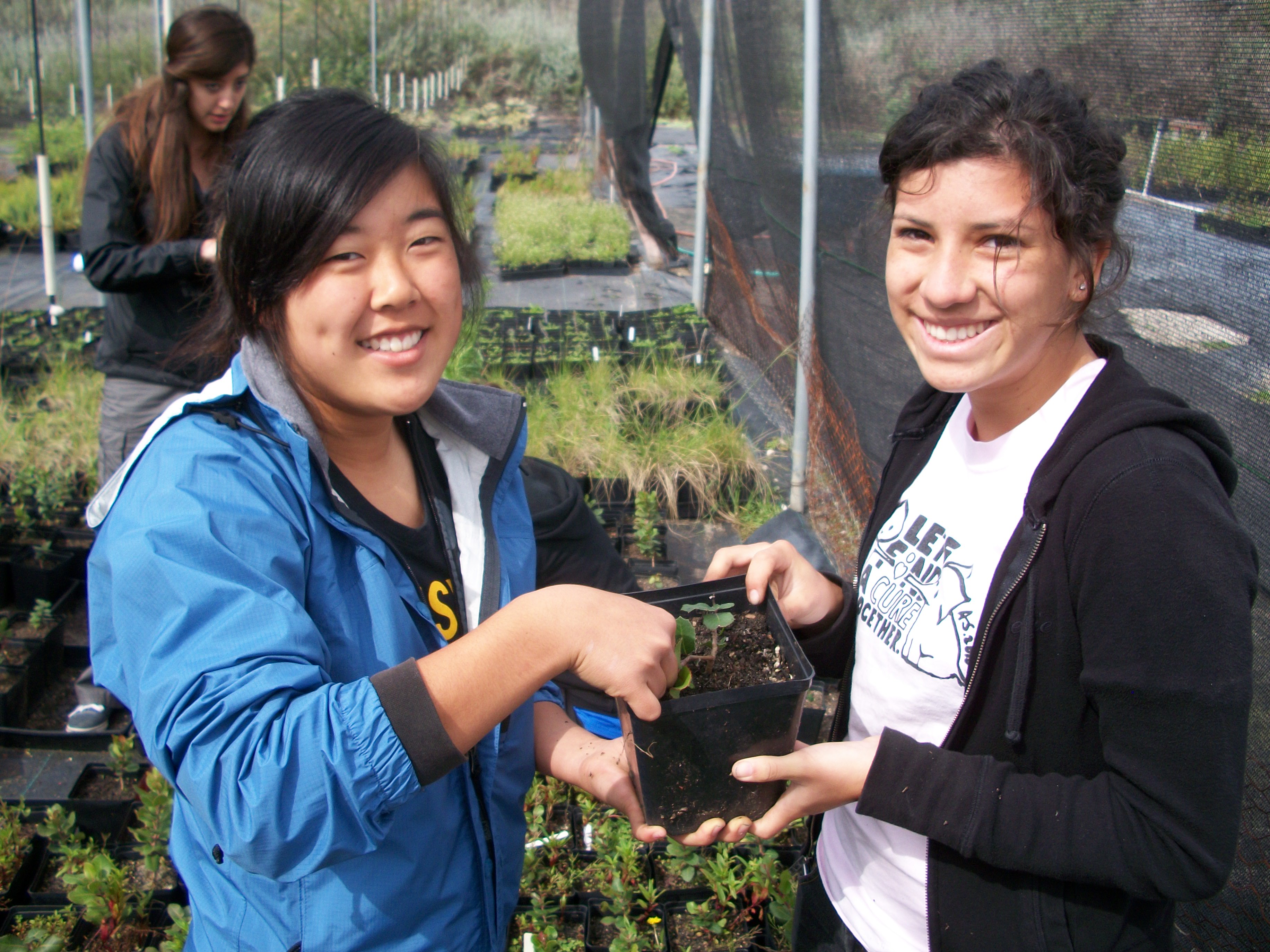 Photo 6 from Palos Verdes Peninsula Land Conservancy