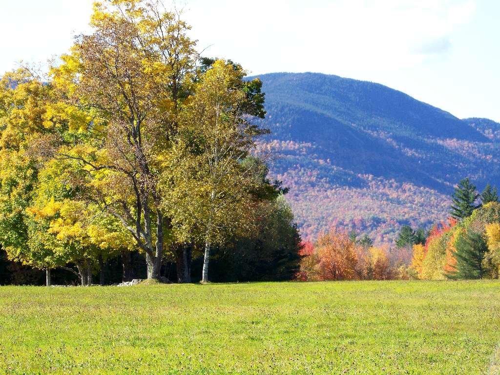 Photo 2 from GREATER LOVELL LAND TRUST INC