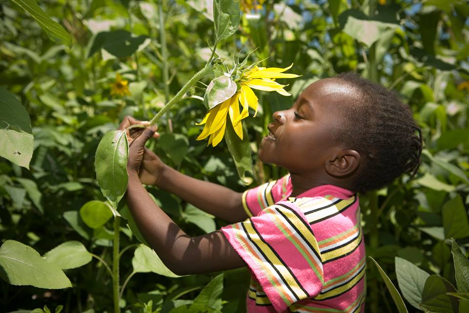 Photo 6 from Heifer International