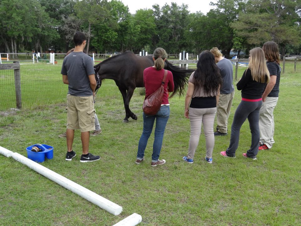 Photo 7 from The Grove Counseling Center