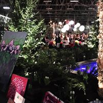 Photo 3 from Noble, Inc.