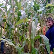 Photo 2 from LEGACY INSTITUTE