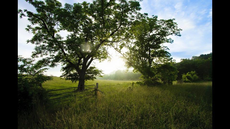 Photo 2 from Deer Run Camps & Retreats