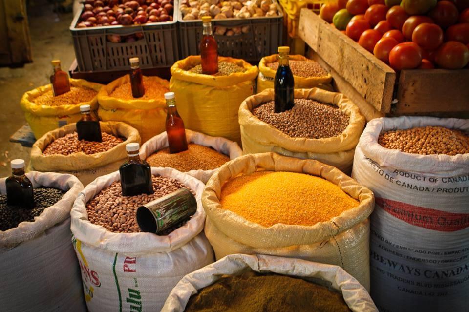 Photo 4 from Solid Rock International