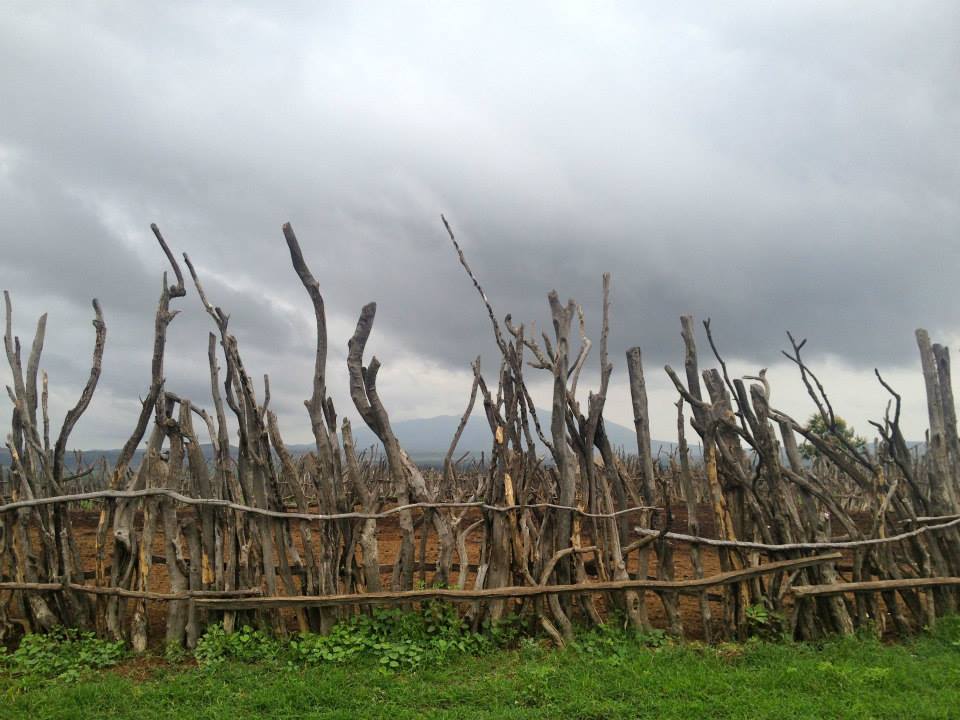 Photo 12 from Global Partners for Development