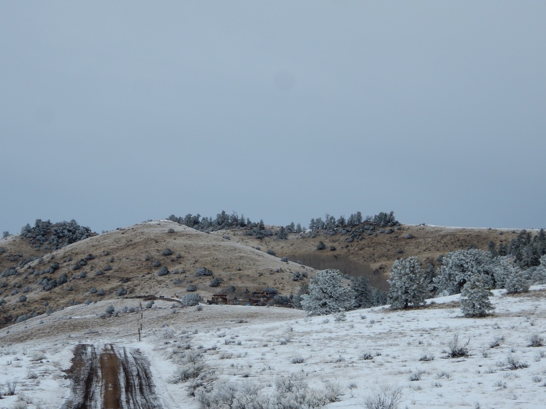 Photo 7 from MISSION WOLF