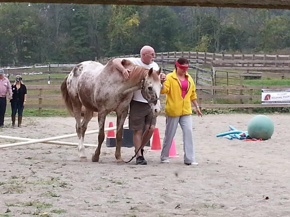 Photo 1 from Spring Reins of Life, Inc. (Horses, Humans