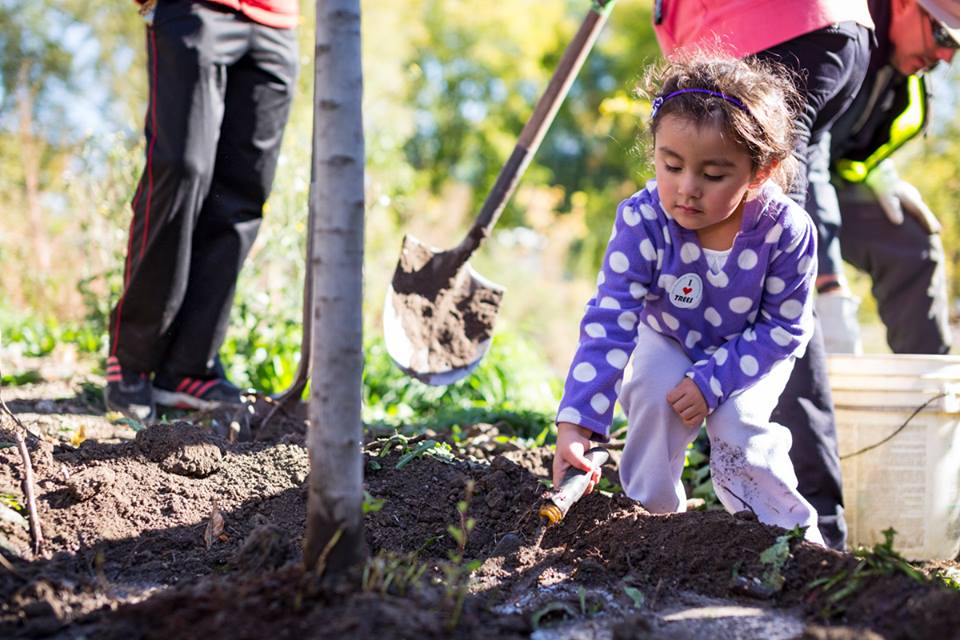 Photo 4 from TreeUtah