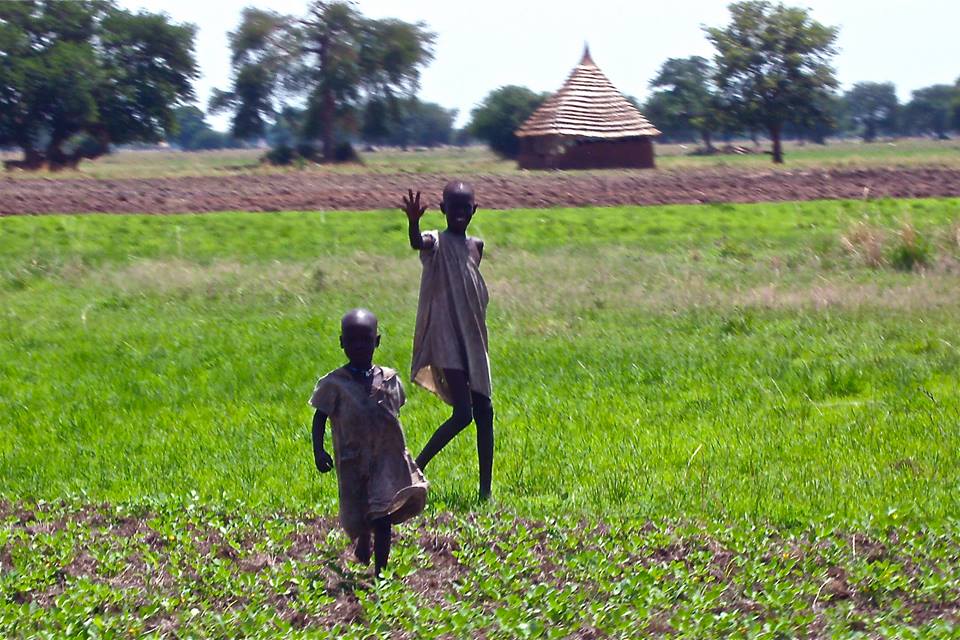 Photo 8 from SISTER EFFECT INC