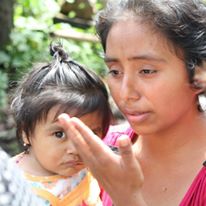 Photo 1 from Seeds for a Future