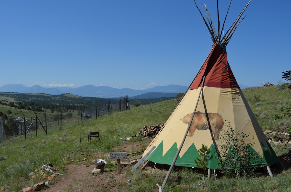 Photo 1 from MISSION WOLF