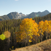 Photo 8 from SAWTOOTH SOCIETY INC