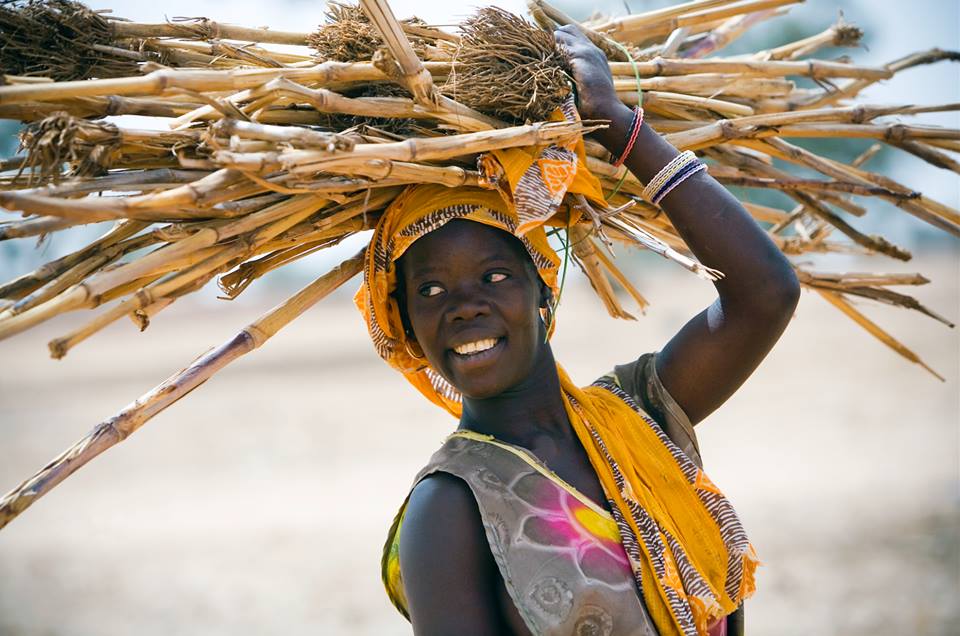 Photo 1 from Heifer International