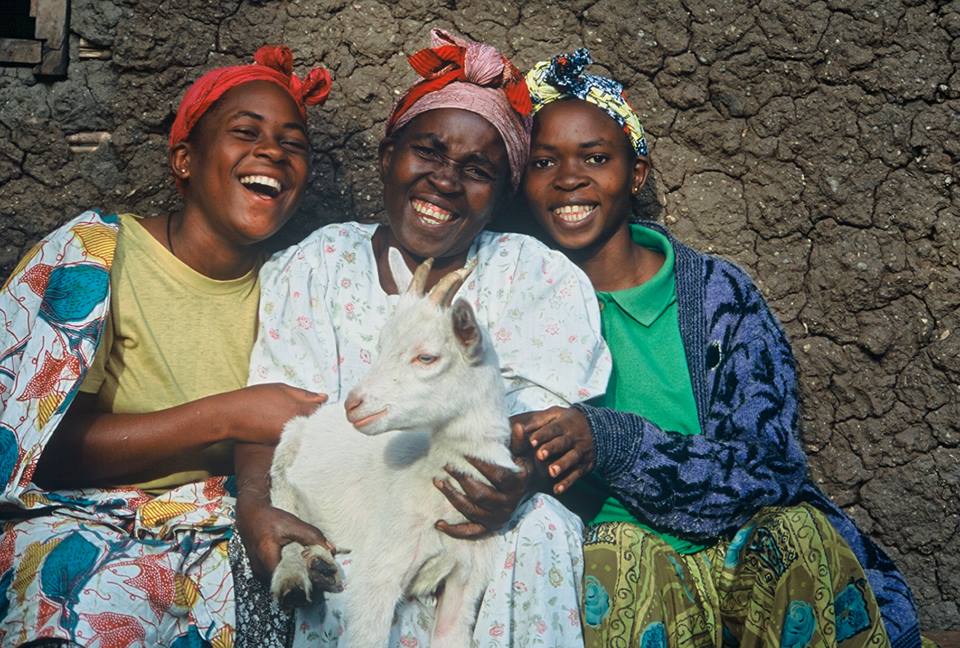 Photo 7 from Heifer International