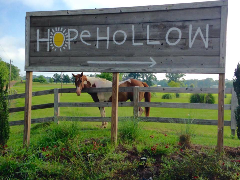 Photo 2 from HOPE HOLLOW MINISTRIES