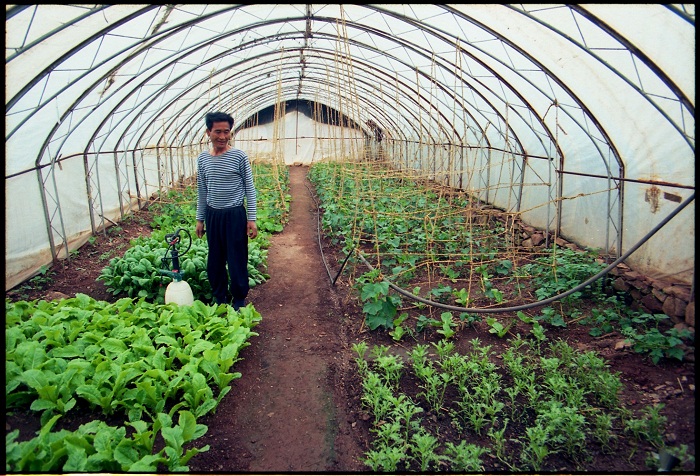 Photo 4 from Christian Friends of Korea