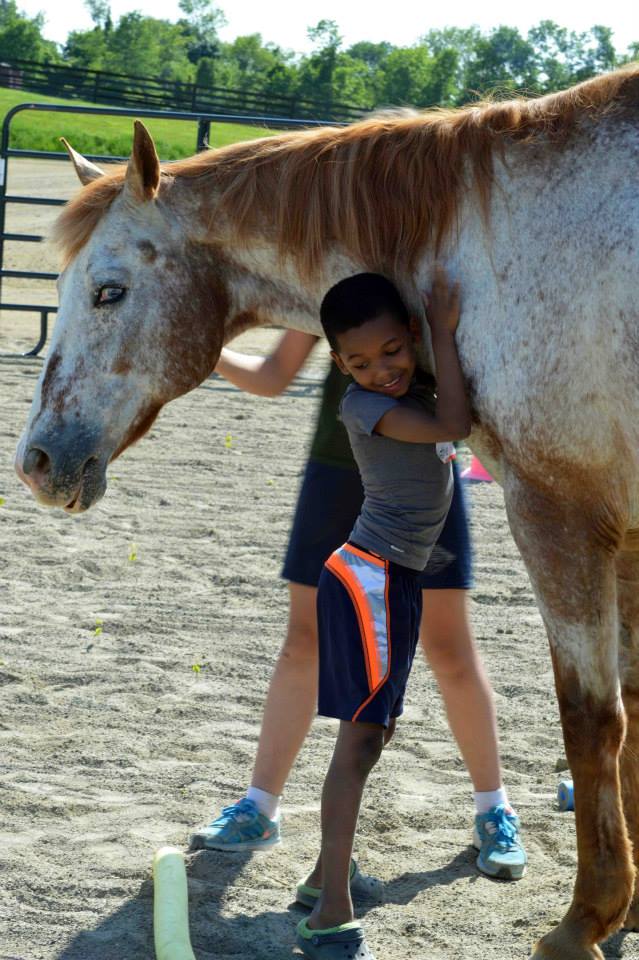 Photo 3 from Spring Reins of Life, Inc. (Horses, Humans