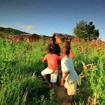 Photo 7 from Global Health Council