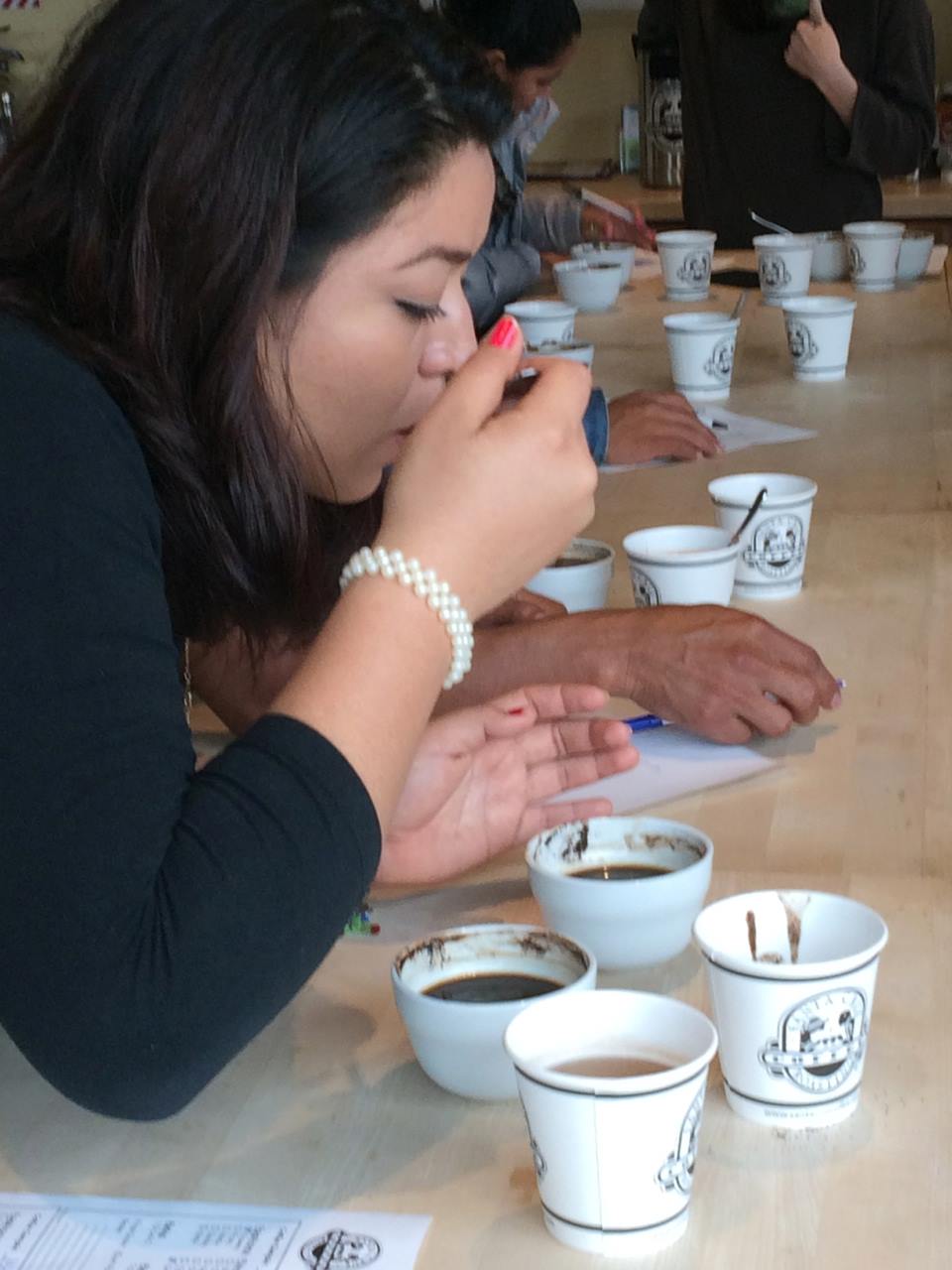 Photo 6 from COMMUNITY AGROECOLOGY NETWORK