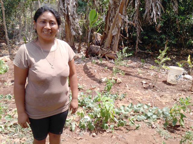 Photo 7 from COMMUNITY AGROECOLOGY NETWORK