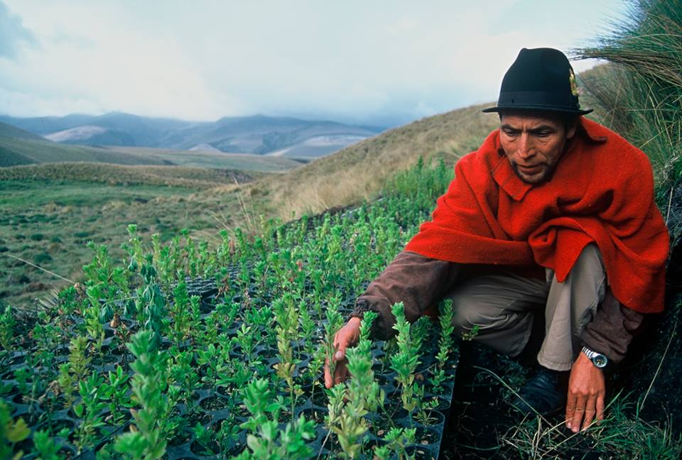 Photo 8 from Heifer International