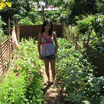 Photo 4 from Seeds for a Future