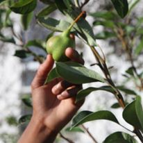 Photo 9 from H.I.S. BridgeBuilders