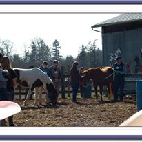 Photo 3 from ANIMALS AS NATURAL THERAPY