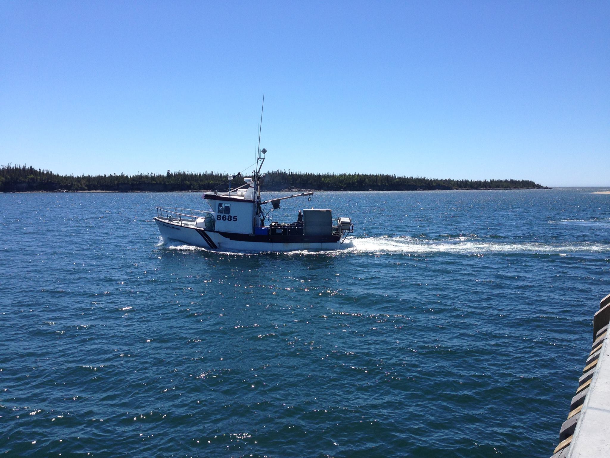 Photo 3 from Ecotrust Canada