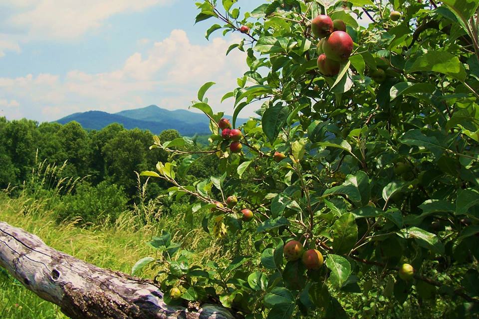 Photo 9 from ALTAPASS SUPPORT INC