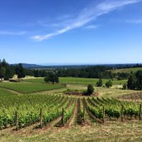 Photo 1 from SOLAR OREGON