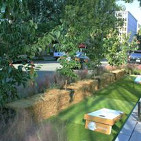 Photo 4 from Landscape Architecture Foundation