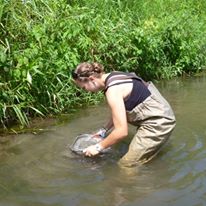 Photo 6 from Southwest Badger Resource Conservation & Development Council