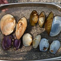 Photo 7 from Southwest Badger Resource Conservation & Development Council