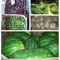 Photo 2 from Food for Others, Inc.