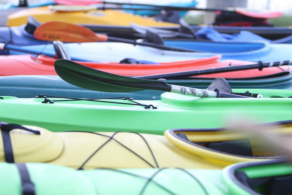 Photo 5 from Eagle Creek Park Foundation, Inc.