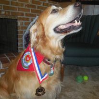 Photo 9 from Lifeline Connections