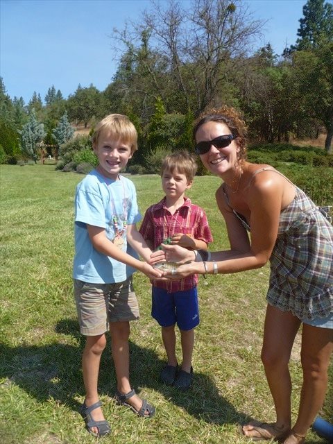 Photo 2 from PACIFICA-A GARDEN IN THE SISKIYOUS INC