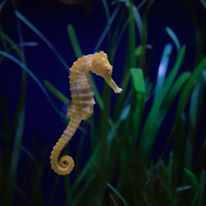 Photo 4 from REASONS TO BELIEVE