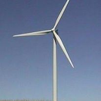 Photo 4 from ENVIRONMENT NORTH CAROLINA INC