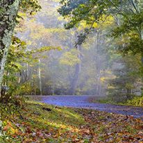 Photo 6 from ENVIRONMENT NORTH CAROLINA INC